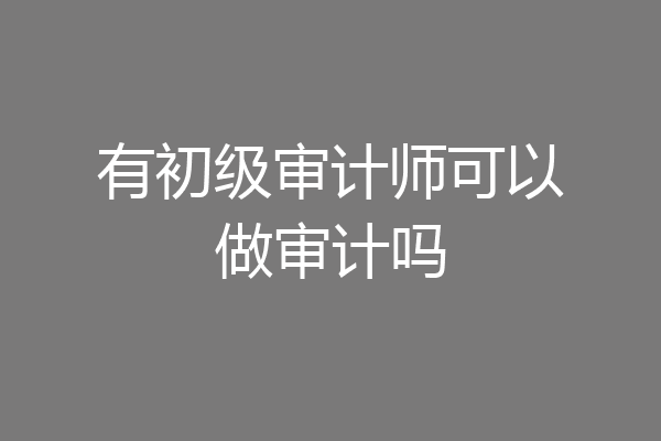 有初级审计师可以做审计吗