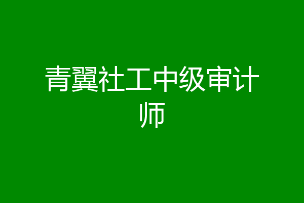 青翼社工中级审计师
