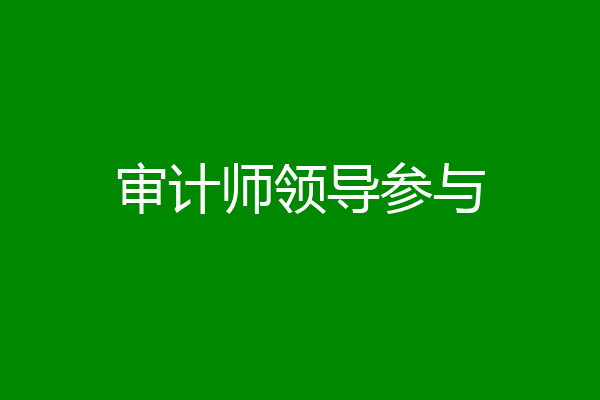 审计师领导参与