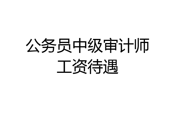 公务员中级审计师工资待遇