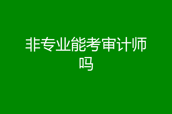 非专业能考审计师吗