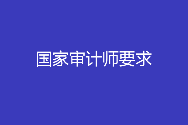 国家审计师要求