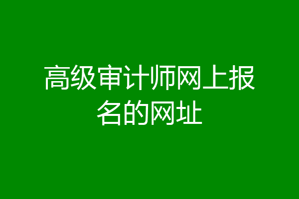 高级审计师网上报名的网址