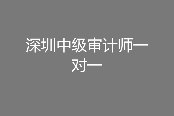 深圳中级审计师一对一