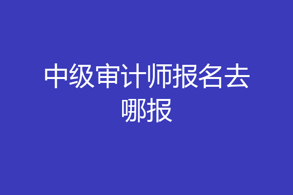 中级审计师报名去哪报