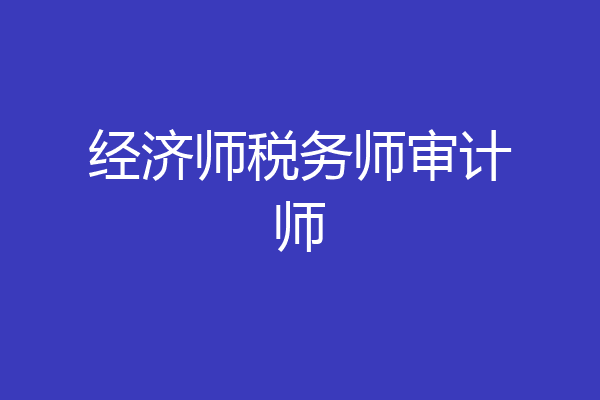 经济师税务师审计师