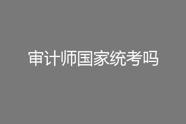 审计师国家统考吗