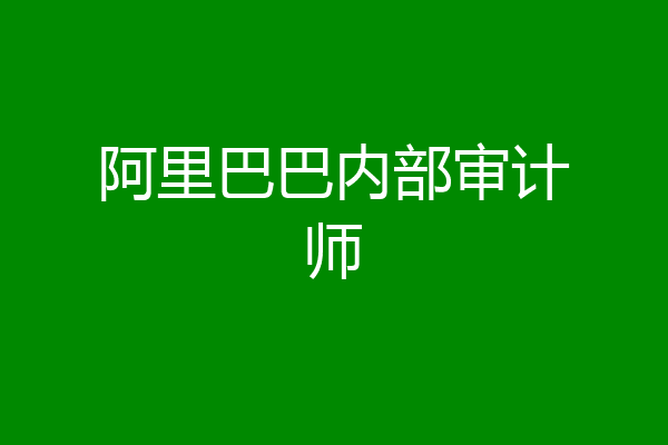 阿里巴巴内部审计师