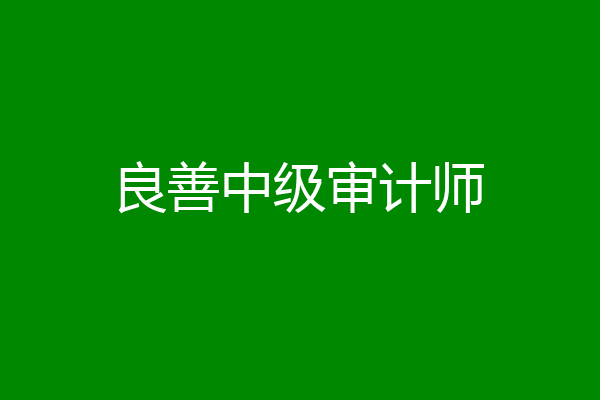 良善中级审计师