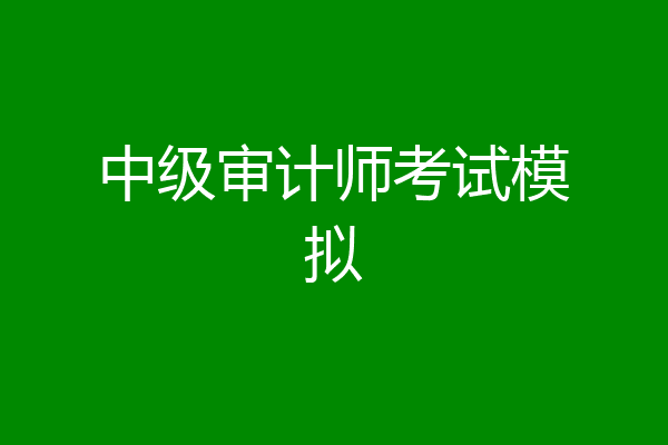中级审计师考试模拟