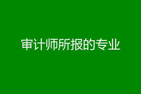 审计师所报的专业