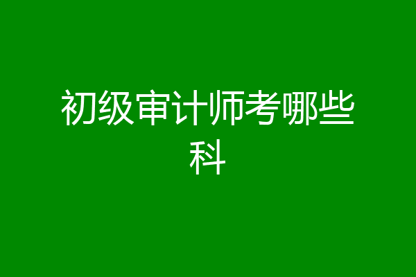 初级审计师考哪些科