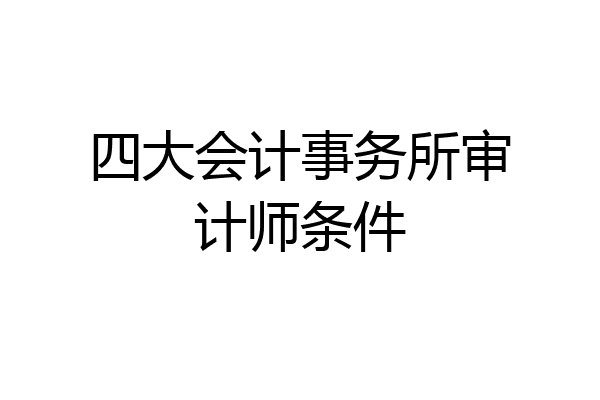 四大会计事务所审计师条件