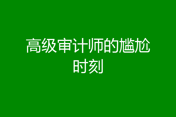 高级审计师的尴尬时刻