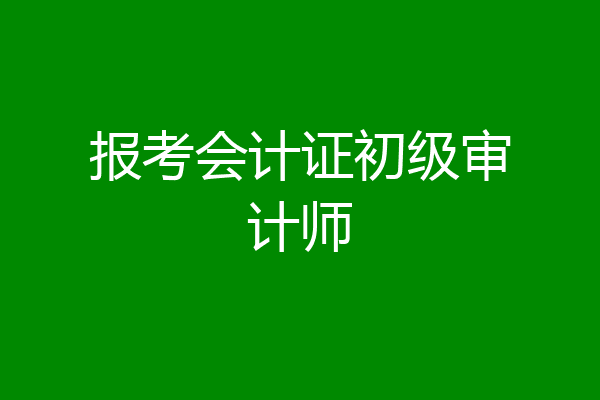 报考会计证初级审计师