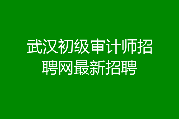 武汉初级审计师招聘网最新招聘