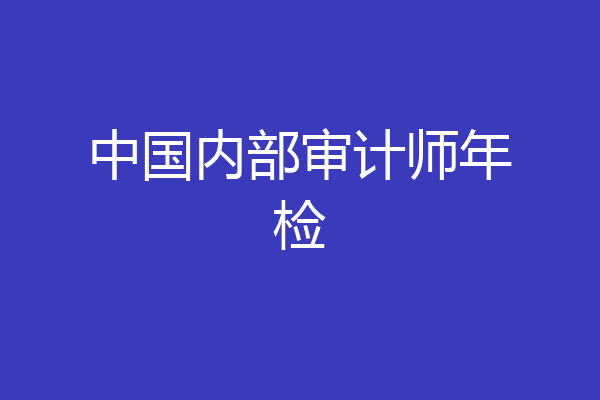 中国内部审计师年检