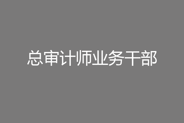 总审计师业务干部
