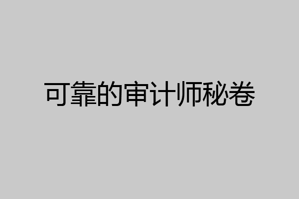 可靠的审计师秘卷