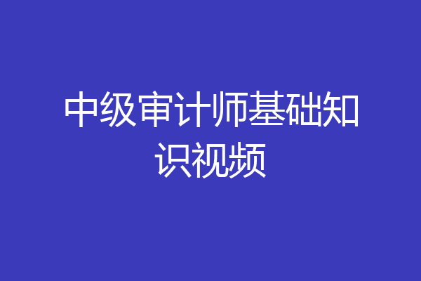 中级审计师基础知识视频