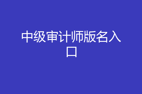 中级审计师版名入口