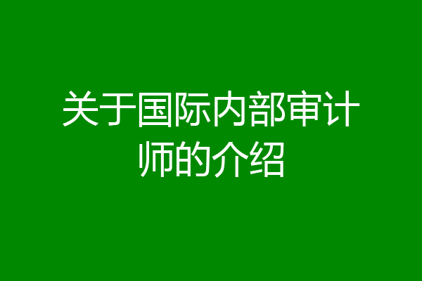 关于国际内部审计师的介绍