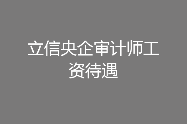 立信央企审计师工资待遇
