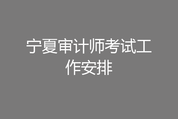 宁夏审计师考试工作安排