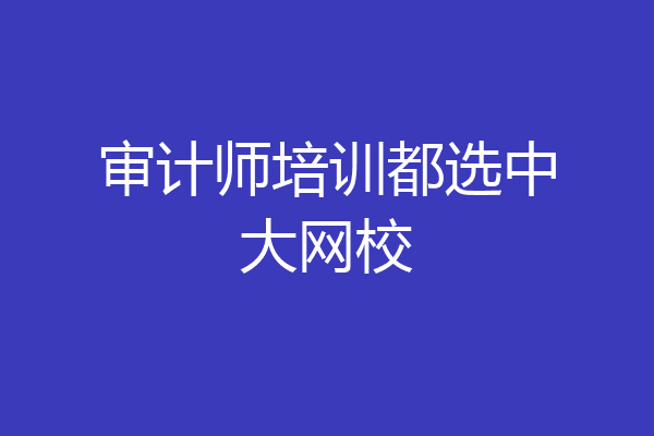 审计师培训都选中大网校