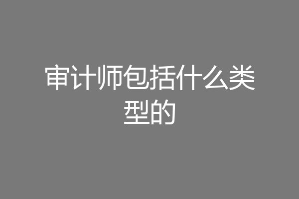 审计师包括什么类型的
