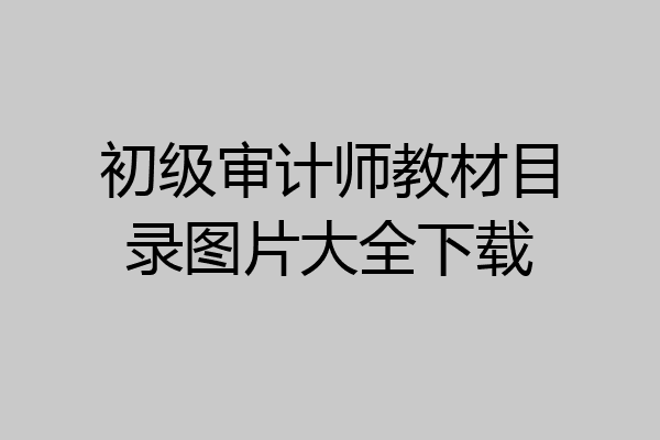 初级审计师教材目录图片大全下载