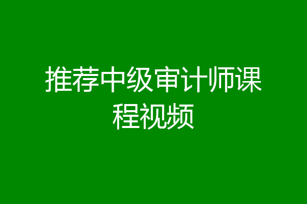 推荐中级审计师课程视频