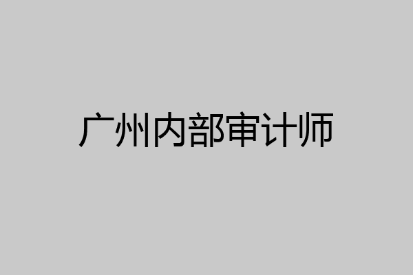 广州内部审计师
