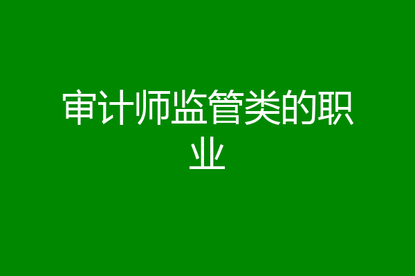 审计师监管类的职业