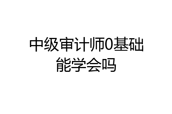 中级审计师0基础能学会吗