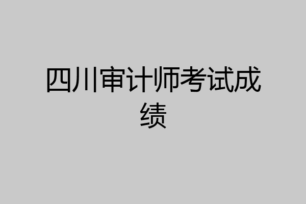 四川审计师考试成绩