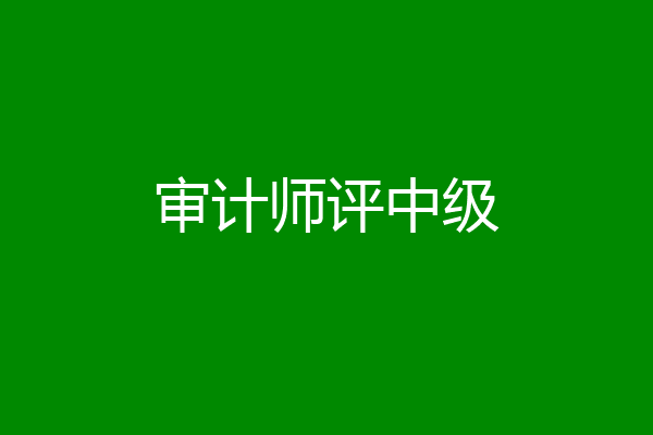 审计师评中级