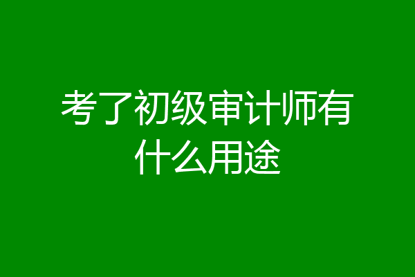 考了初级审计师有什么用途