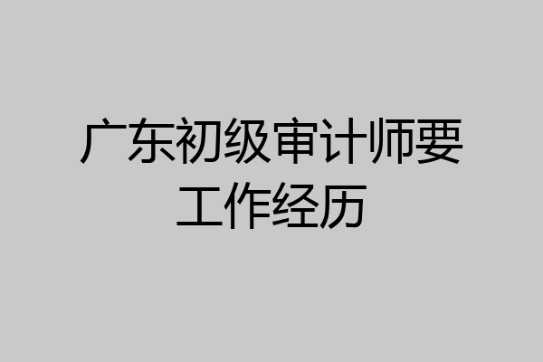 广东初级审计师要工作经历