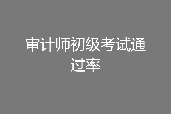 审计师初级考试通过率