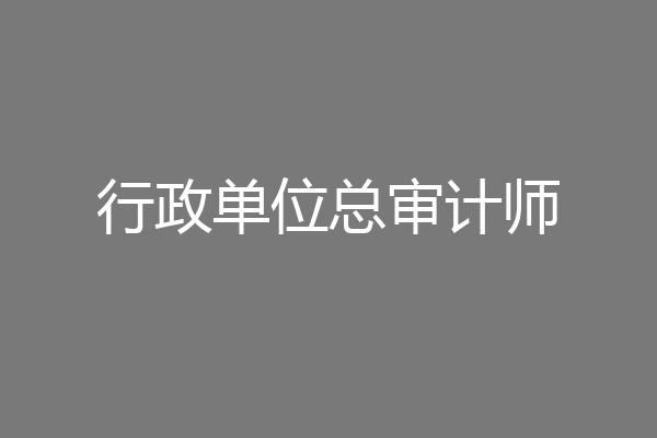 行政单位总审计师