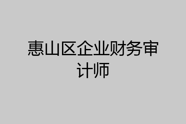 惠山区企业财务审计师