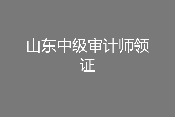 山东中级审计师领证