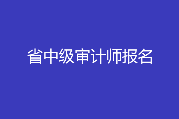 省中级审计师报名
