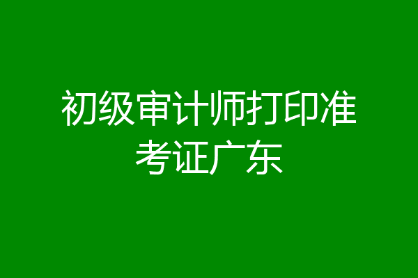 初级审计师打印准考证广东