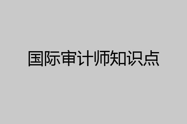 国际审计师知识点