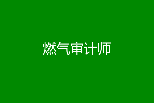 燃气审计师