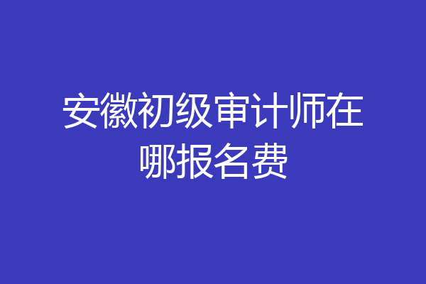 安徽初级审计师在哪报名费