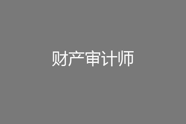 财产审计师