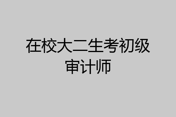 在校大二生考初级审计师